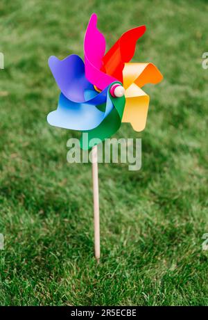 close up of multicolored pinwheel stuck in lawn Stock Photo