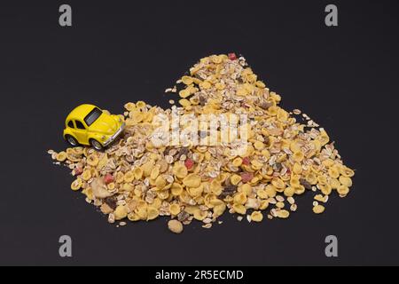 Yellow Beetle climbs a mountain of cornflakes on a black background. Minimal life style concept. Stock Photo