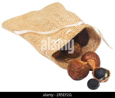 Sapindus mukorossi or Indian soapberry used in many pharmacological and cleansing purposes Stock Photo