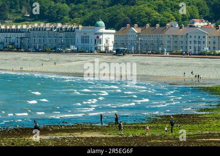 Llandudn north shore beach on a windy dat with waves rolling in. Stock Photo