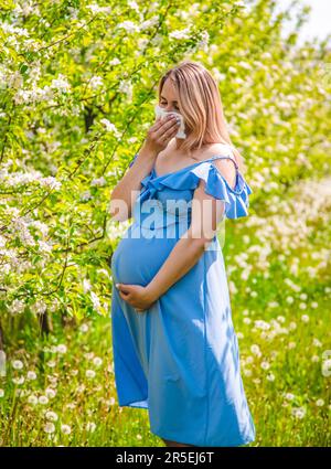 A pregnant woman in the garden of flowering apple trees is allergic. Selective focus. Nature. Stock Photo