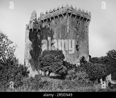 A late 19th century view of Blarney Castle, a medieval stronghold, that saw many military actions in Blarney, County Cork, Ireland. It was built around 1446  by the MacCarthy of Muskerry dynasty, a branch of the Kings of Desmond. At the top of the castle lies the Stone of Eloquence, better known as the Blarney Stone; tourists visiting the castle may hang upside-down over a sheer drop to kiss the stone, which is said to give the gift of eloquence. Stock Photo