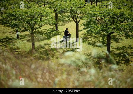 Eschede, Germany. 03rd June, 2023. A man sits on a stone under cherry trees at the memorial site of the Eschede ICE accident. On June 03, 1998, after a wheel tire broke in Eschede, Lower Saxony, several carriages of an ICE train crashed into a road bridge at a speed of 200. 101 people died. Credit: Gregor Fischer/dpa/Alamy Live News Stock Photo