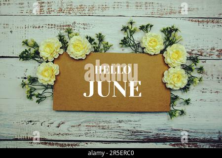 Hello June typography text decorate with flower on wooden background ...