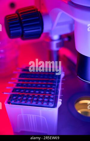 Blood samples lying on cell culture surface, enzyme-linked immunosorbent assay Stock Photo