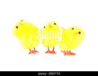 Funny toy chicks on white background Stock Photo