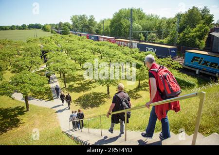 Eschede, Germany. 03rd June, 2023. People walk down steps to the memorial for the victims of the Eschede ICE accident on the 25th anniversary. On June 03, 1998, several carriages of an ICE train crashed into a road bridge at a speed of 200 km/h after a wheel tire broke in Eschede, Lower Saxony. 101 people died. Credit: Gregor Fischer/dpa/Alamy Live News Stock Photo