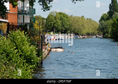 Maidenhead, UK. 3rd June, 2023. Two boats have been destroyed by fire in two separate incidents this week during the early hours of 31st May and 2nd June along the River Thames in Maidenhead, Berkshire. One of the charred wrecks remains cordoned off (pictured) and is now moored outside the riverside Chandlers Quay flats where there is a strong smell of fuel. The other boat that was destroyed by fire near to Boulter's Lock has, according to local residents, now sunk. Fortunately nobody was injured in the two fires. Thames Valley Police are reported to be making further investigations into alleg Stock Photo