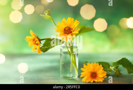 Beautiful yellow flowers in glass small bottle on green background with festive bokeh. Autumn Floral Bouquet in home interior. Stock Photo