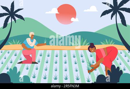 Indian cartoon farmers harvesting crops in paddy fields Stock Vector