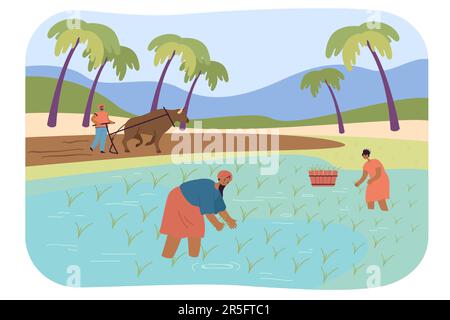 Indian farmers harvesting paddy in field with water Stock Vector