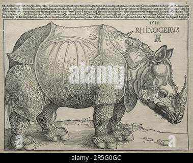 Albrecht Dürer, The Rhinoceros, 1515, woodcut print. Cleveland Museum of Art, United States of America (very high resolution and sharpness) Stock Photo