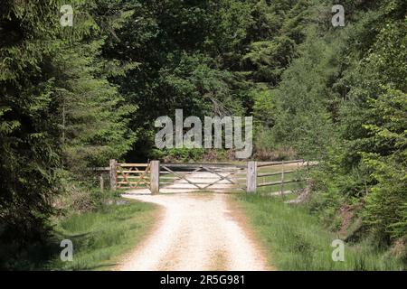 Two five bar wooden gates across a gravel cyclepath in the New Forest with trees all around Stock Photo