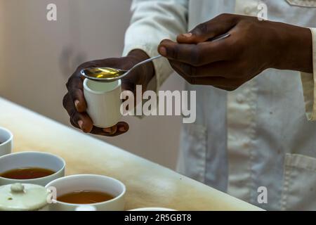 A taster pours brewed tea from a spoon back into the cup – the final taste test at Satemwa Estate near Thyolo, Malawi's last family-run tea farm, which produces and quality-checks 27 different types of tea. Stock Photo