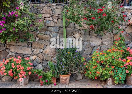 Stone wall decorated with flower pots Stock Photo