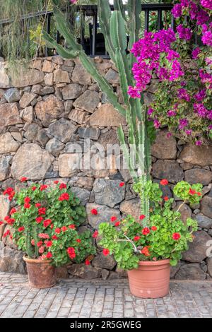 Stone wall decorated with flower pots Stock Photo