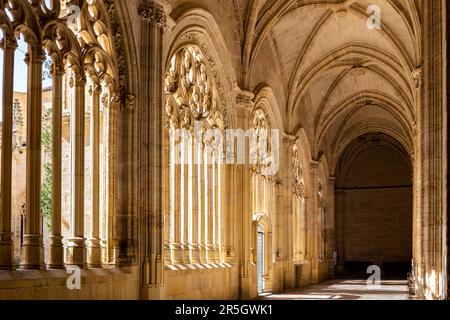 Segovia, Spain, 03.10.21. Cloister of the Segovia Cathedral in Gothic flamboyant style with carved decorative vaults, columns and openwork windows. Stock Photo