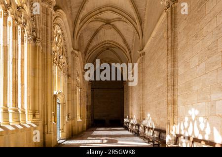 Segovia, Spain, 03.10.21. Cloister of the Segovia Cathedral in Gothic flamboyant style with carved decorative vaults, columns and tracery windows Stock Photo