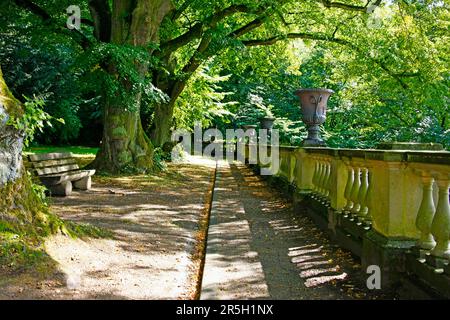 Heiligenberg Castle, old trees, Seeheim-Jugenheim, Hesse, Germany Stock Photo