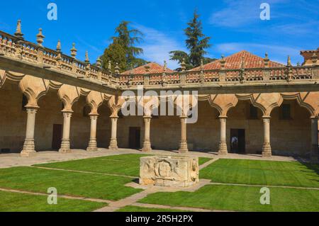 Salamanca, Small Schools, courtyard (16th century), Castile-Leon, Spain Stock Photo