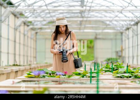 Asian female photographs water lilies inside a greenhouse in Mae Rim, Chiang Mai at the Queen Sirikit Botanic Gardens. Stock Photo