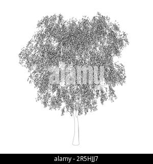 Outline of a detailed tree from black lines isolated on a white ...