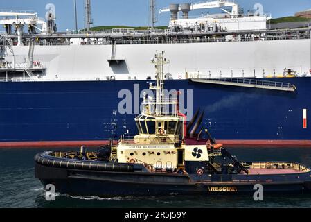 GASLOG HOUSTON a LNG tanker pictured in the Milford Haven Waterway, Pembrokeshire Dock, West Wales, also pictured  a tugboat alongside GASLOG HOUSTON Stock Photo