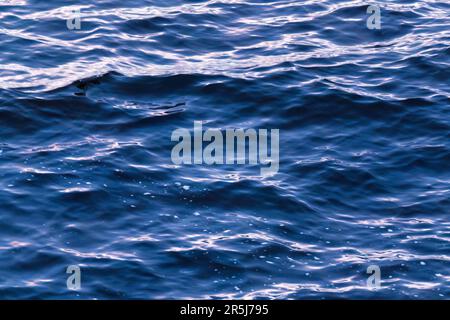 Abstract rippled blue sea water surface natural background Stock Photo