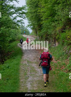Bergamo Italy June 2 2023:Family walking in the mountains with child in the backpack Stock Photo