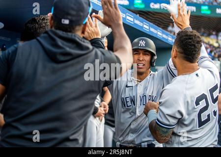 New York Yankees' Oswaldo Cabrera (95) reacts during the second inning of  the team's baseball game against the Toronto Blue Jays on Friday, Aug. 19,  2022, in New York. (AP Photo/Adam Hunger