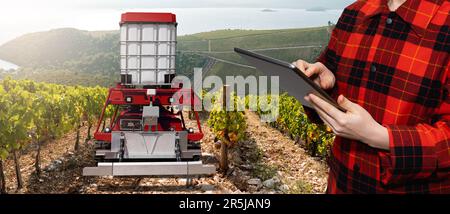 Farmer controls autonomous robot sprayer in a vineyard. Smart farming concept Stock Photo