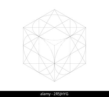 Isometric drawing of a cube with circles inscribed Stock Vector