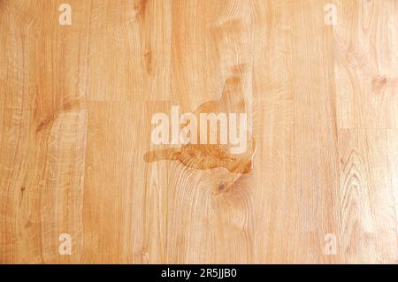 Close up of water on the laminate floor of wood Stock Photo