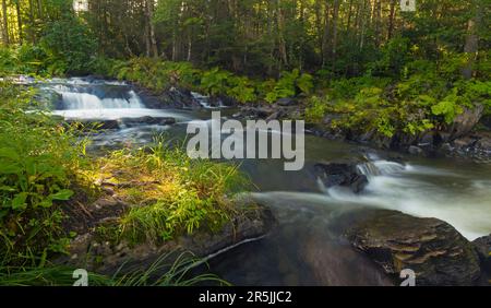 Sunlight falling on a single spot next to a river in Maine with waterfalls Stock Photo