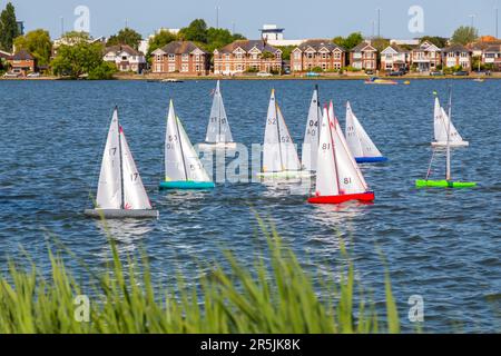 Poole, Dorset UK. 4th June 2023. UK weather: Radio controlled boat enthusiasts race their model boats in the one meter class  around Poole Park lake on a lovely warm sunny breezy day. Credit: Carolyn Jenkins/Alamy Live News Stock Photo