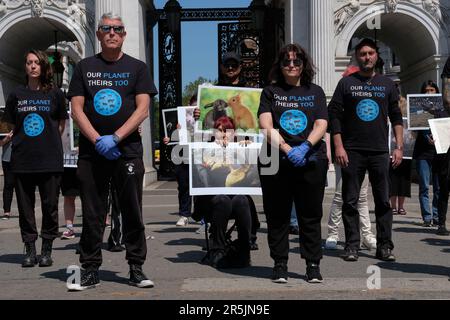 London, United Kingdom. 4th June, 2023. Animal rights Activists gather at Marble Arch to celebrate the 13th National Animal Rights Day (NARD). Laura Gaggero/Alamy Live News. Stock Photo