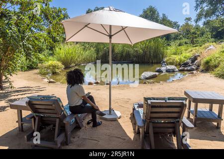 Natural swimming pool of Thawale Tented Lodge in Majete National Park of Malawi. Thawale Lodge Pool Area. The natural pond for the lodge guests is fenced, while the rest of the area is not separated from the Majete Wildlife Reserve by fences. Stock Photo