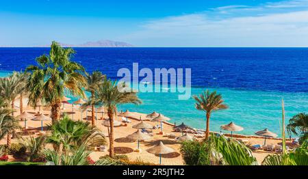 Beach and palm trees on Red Sea in Sharm el Sheikh, Sinai, Egypt Stock Photo