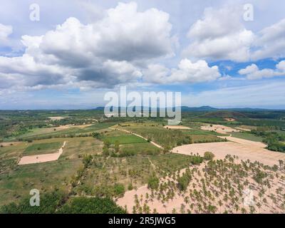 Farmland with coconut palms, palm oil and tapioca in Huai Yai on the outskirts of Pattaya City in Thailand. Stock Photo