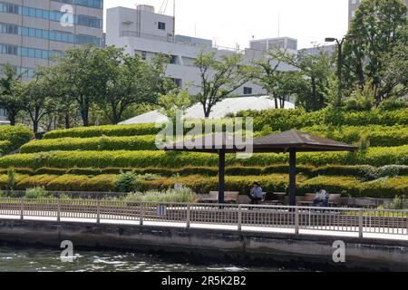 NIHONBASHI CRUISE TOKYO Stock Photo