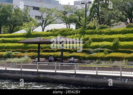 NIHONBASHI CRUISE TOKYO Stock Photo