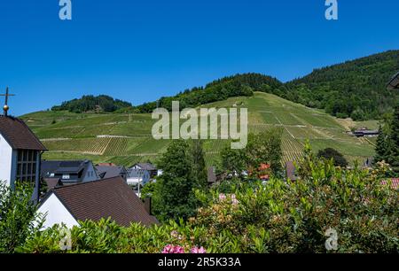 View of Kappelrodeck in the acher valley. Black Forest, Baden-Wuerttemberg, Germany, Europe Stock Photo