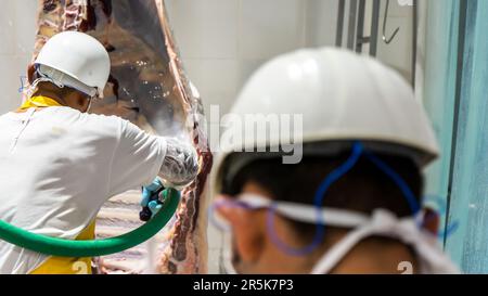 Unrecognizable cattle slaughter plant worker transporting cow viscera Stock Photo