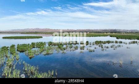 Bayannur. 4th June, 2023. This aerial photo taken on June 4, 2023 shows the scenery of Ulan Suhai Lake in Urad Front Banner in Bayannur, north China's Inner Mongolia Autonomous Region. Credit: Bei He/Xinhua/Alamy Live News Stock Photo