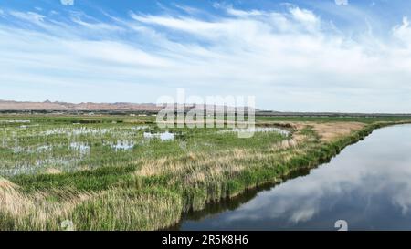 Bayannur. 4th June, 2023. This aerial photo taken on June 4, 2023 shows the scenery of Ulan Suhai Lake in Urad Front Banner in Bayannur, north China's Inner Mongolia Autonomous Region. Credit: Bei He/Xinhua/Alamy Live News Stock Photo