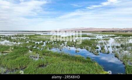 Bayannur. 4th June, 2023. This aerial photo taken on June 4, 2023 shows the scenery of Ulan Suhai Lake in Urad Front Banner in Bayannur, north China's Inner Mongolia Autonomous Region. Credit: Bei He/Xinhua/Alamy Live News Stock Photo