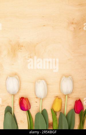 Tulip flowers on wooden background with copy space. Vintage-inspired greeting card with wood and floral elements. Stock Photo