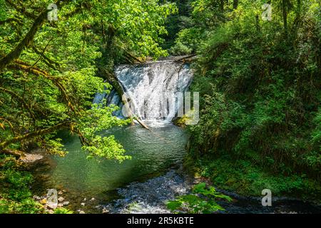 A landscape shot of Drake Falls at Silver Falls State Park in Oregon State Stock Photo