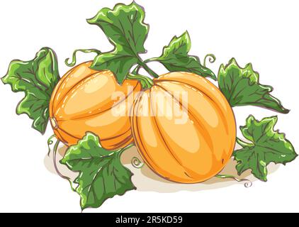 Whimsical Pumpkin Plant Vector Set for Your Creative Projects