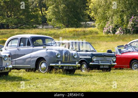 MOT129 1954 grey Austin A40 Somerset Saloon and mk1 vauxhall viva at vintage classic car show Capesthorne Hall Cheshire UK 2023 Stock Photo